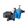 POOL PUMP AND MOTOR 1.1KW EARTHeCO