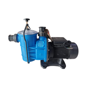 Alternative view of POOL PUMP AND MOTOR 1.1KW EARTHeCO